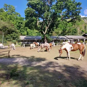 Ranch Black Horse Hébergement de vacances
